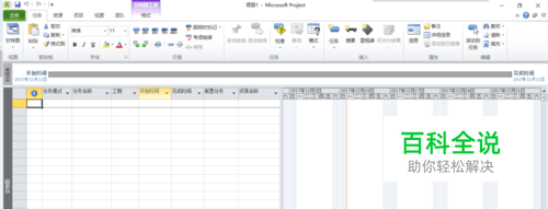 project2010使用教程