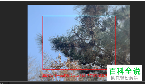pr软件中制作的电子相册怎么给图片设置批量缩放