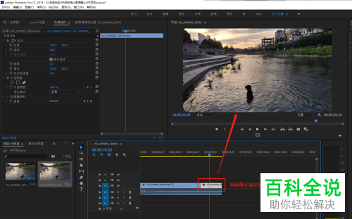 Pr如何给视频添加帧定格效果