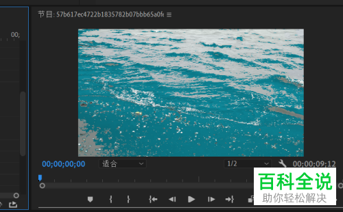 PR软件怎么替换视频画面目标颜色