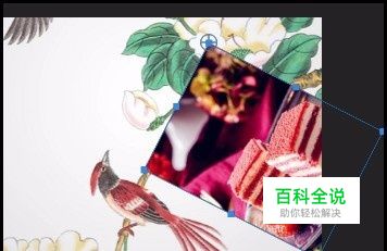 pr图片如何任意设置中心点旋转图片？