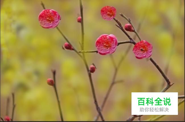 PS仿制图章工具和图案图章工具怎么用？