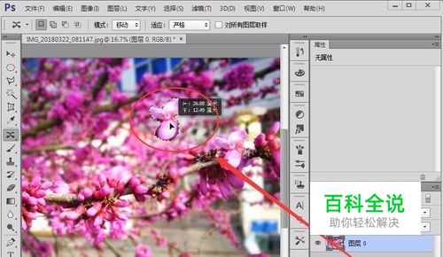 ps教程—复杂背景抠图