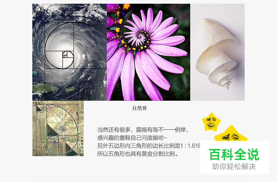 PS教你绘制精确的斐波那契螺旋！