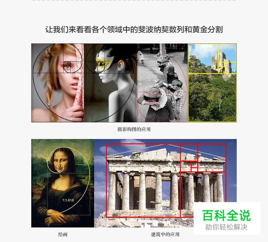 PS教你绘制精确的斐波那契螺旋！