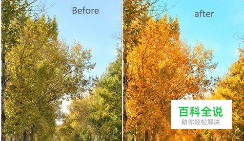 PS快速将绿色树林图片转为艳丽的秋季色彩