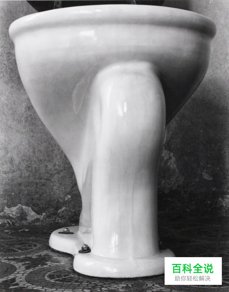 拍摄瓶颈期尝试微距摄影去捕捉细节