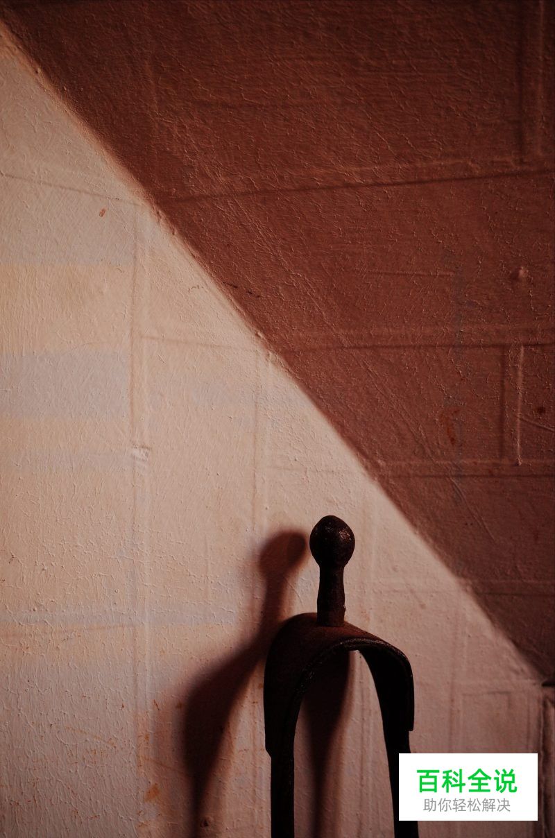 拍摄瓶颈期尝试微距摄影去捕捉细节