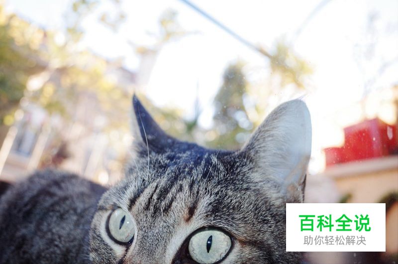 拍摄瓶颈期尝试微距摄影去捕捉细节