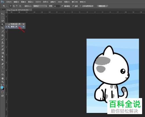 PS软件中的快速选择工具和魔棒工具有哪些区别