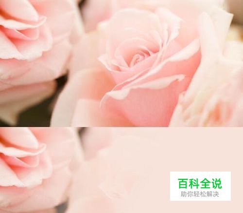 PS软件怎么把图片做渐变透明