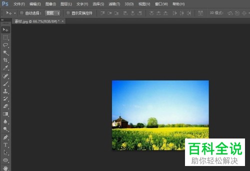 PS软件Photoshop中怎么区别图像大小和画布大小