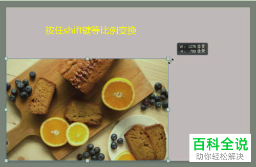 PS如何自定义缩放、旋转图片