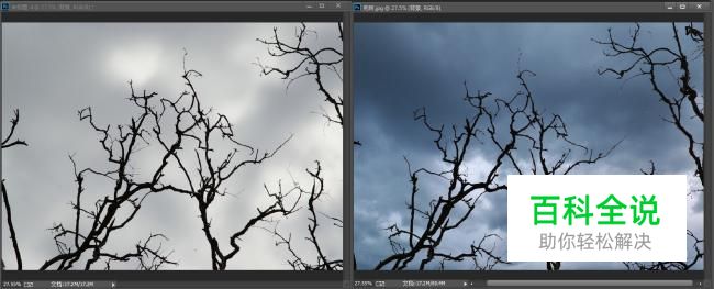 PS如何使用通道分离图像？