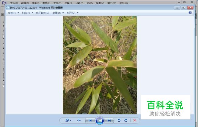 ps如何把图片变小