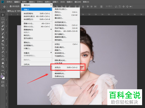 PS如何将图片转换成彩色铅笔素描画