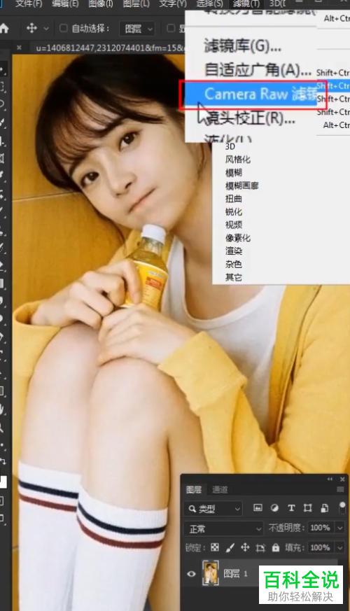 PS如何消除图片噪点