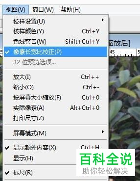 PS软件Photoshop中怎么设置图片的像素长宽比