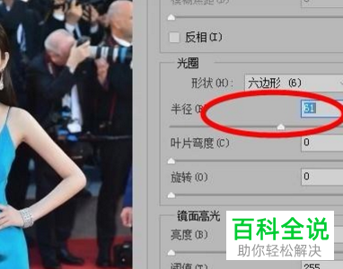 PS如何将图片背景区域进行模糊虚化