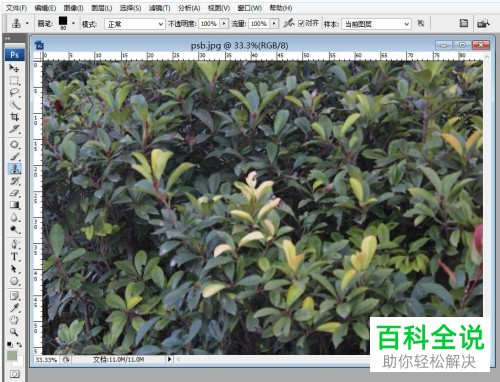PS软件Photoshop中怎么设置图片的像素长宽比
