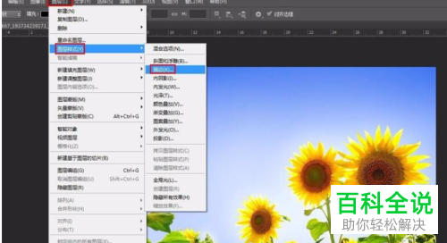 PS如何给图片添加白色边框