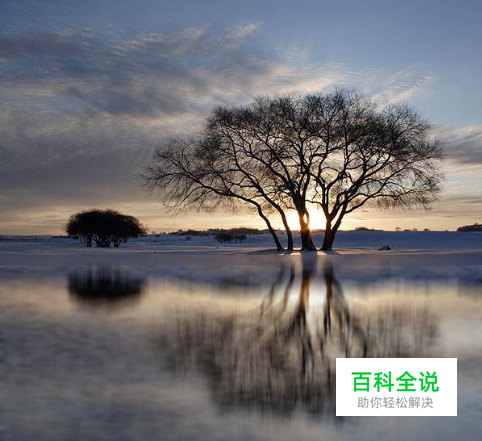 PS水中倒影效果怎样做