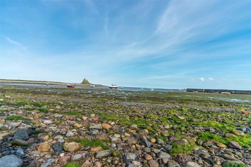 PS神器内容识别用途详解