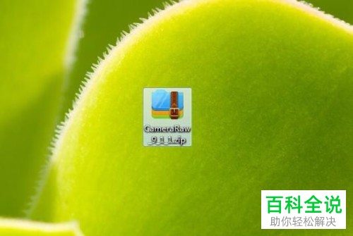 ps下载安装Camera Raw增效工具的方法