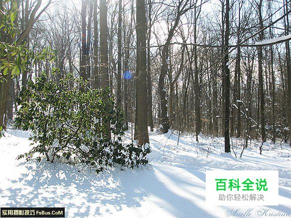 拍摄雪景如何正确曝光