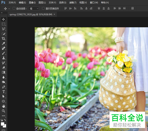 PS修改画面上花的色彩鲜艳度的操作步骤