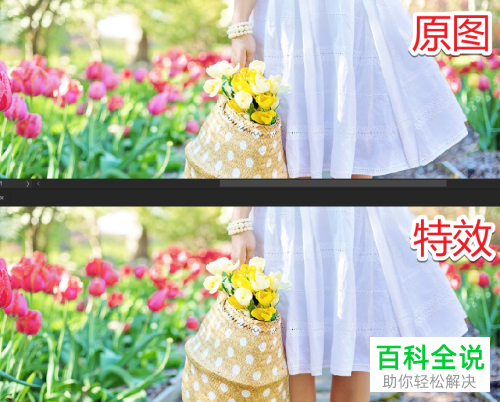 PS修改画面上花的色彩鲜艳度的操作步骤