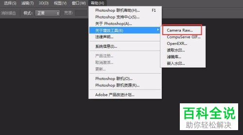ps下载安装Camera Raw增效工具的方法
