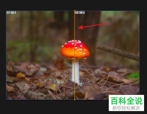 PS怎么使用切片工具裁剪并保存切片