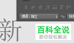 PS怎么在图片中添加文字并设置语言