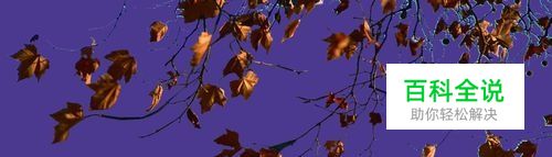 ps植物修边处理