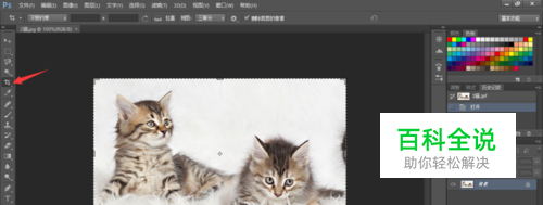 PS怎么截取图片，截取图片的一部分