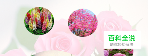 PS怎么把图片放进圆圈里