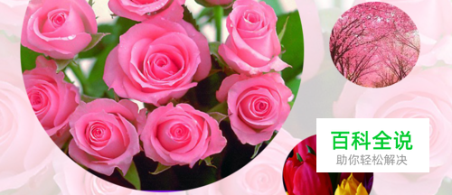 PS怎么把图片放进圆圈里