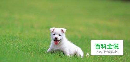 PS怎么去掉图片中的物体