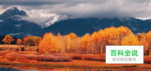 ps怎么放大图片不降低清晰度