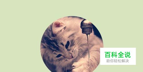 PS怎么制作圆形的图片