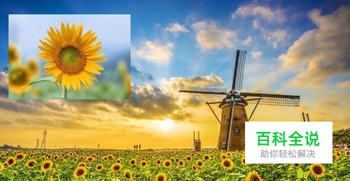 ps中如何把一张图片拖进另一张