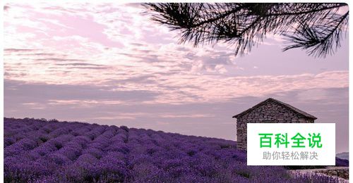 ps怎么样把图片四角弄成圆边