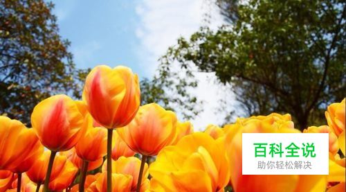 PS怎么扩展图片