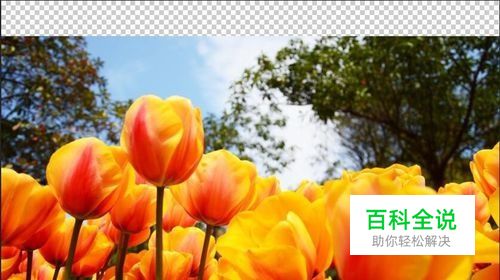 PS怎么扩展图片