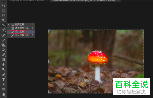 PS怎么使用切片工具裁剪并保存切片