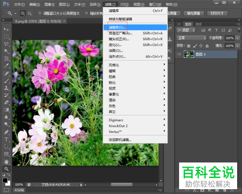 PS怎么给图片添加纹理化、凸出滤镜