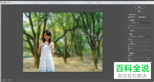 PS怎样虚化图片背景？