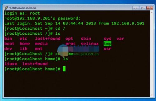 putty怎么调整字体大小