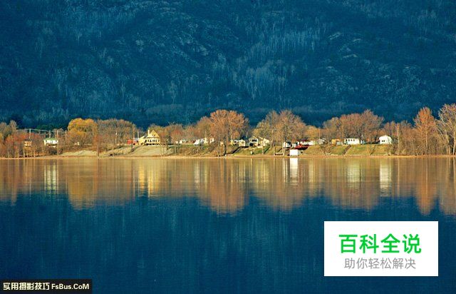 偏振镜的类型和工作原理